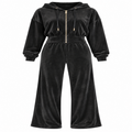 Velvet Zip Up Hoodie and Pants Set